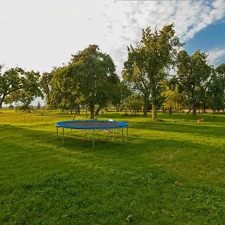 Nyaraló Vacation With Garden Terrace And Sauna