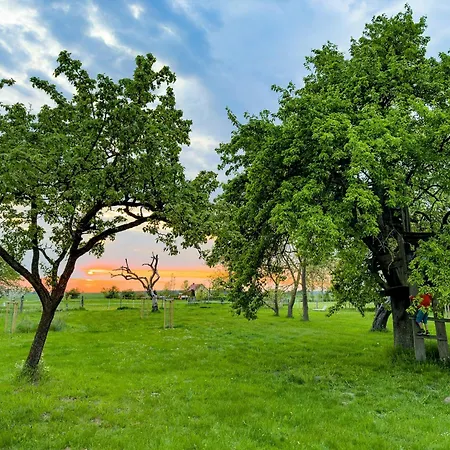 Vacation With Garden Terrace And Sauna Walow