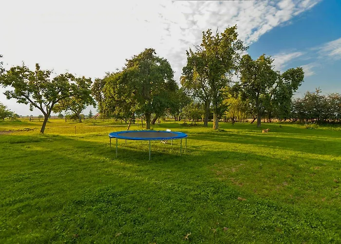 Prázdninový dům Vacation With Garden Terrace And Sauna