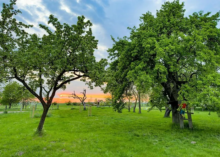 Vacation With Garden Terrace And Sauna Walow